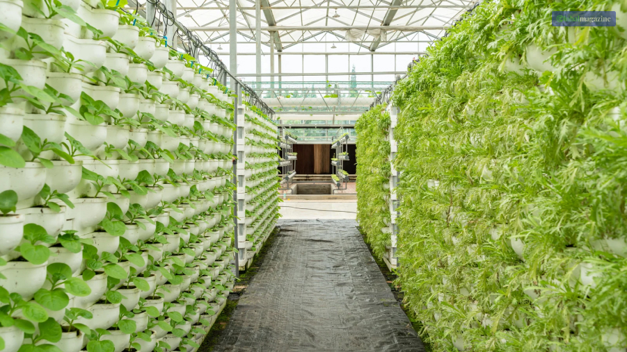 Top 13 Best Vertical Farming Companies of the World