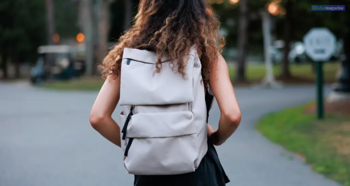 Everlane The ReNew Transit Backpack