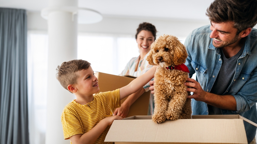 Pet Relocation Services