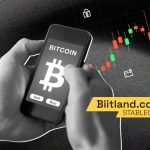 Biitland.com Stablecoins