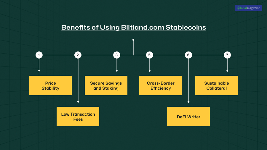 What are the Benefits of Using Biitland.com Stablecoins