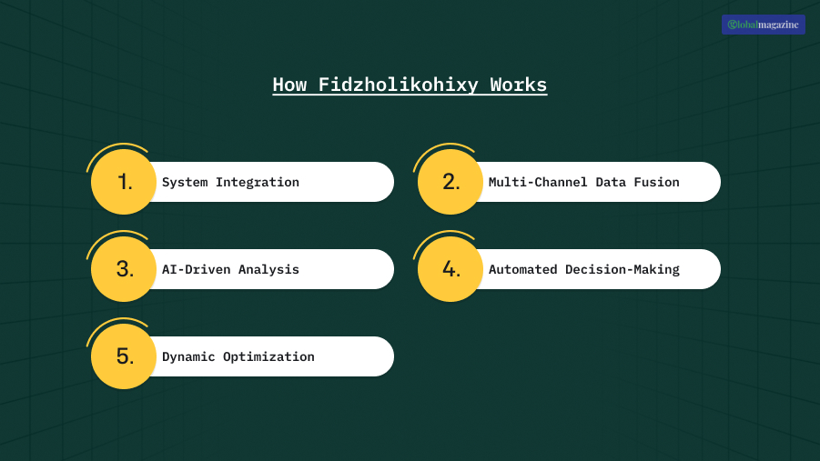 How Fidzholikohixy Works