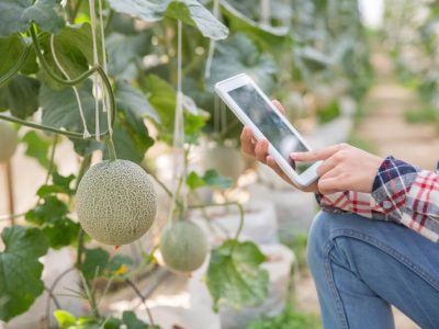 Farming Technology