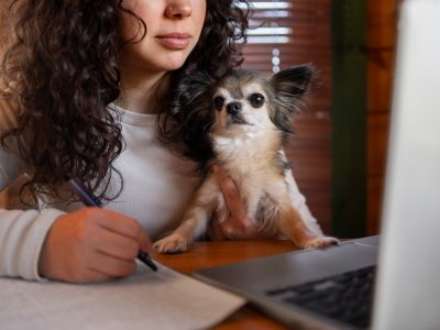 Why Your Puppy Listing Gets No Enquiries